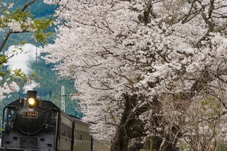 130327-7292.jpg