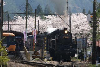 2009春 823.jpg