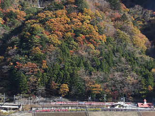 20131127koyo04.jpg