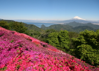 かつらぎ山山頂画像・伊豆の国市.jpg