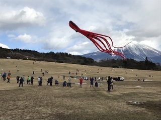 たこたこ 富士宮市.jpg
