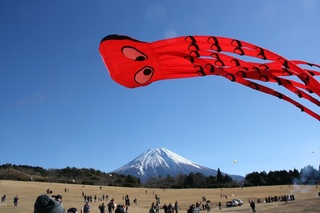 たこたこあがれ 富士宮市.jpg