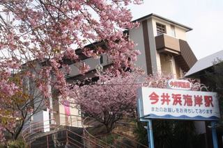 今井浜.jpg
