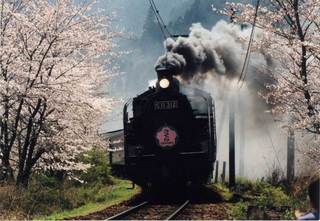 家山の桜とSL画像・島田市.jpg