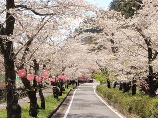 家山桜トンネル・島田市画像.jpg