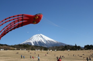 巨大タコが舞う画像 富士宮市.jpg