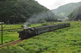 真夏6.jpg