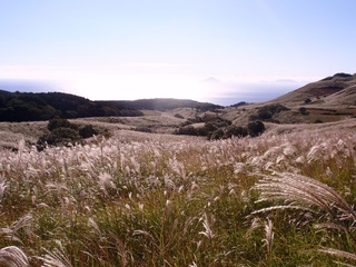 細野高原 東伊豆町.jpg