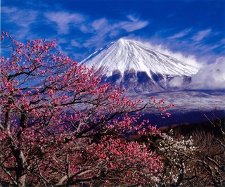 絶景・富士山画像・富士市.jpg