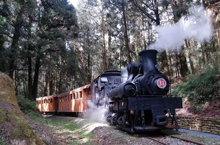 阿里山森林鉄道.jpg