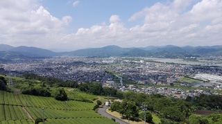 IMG_20190625_125645.jpg